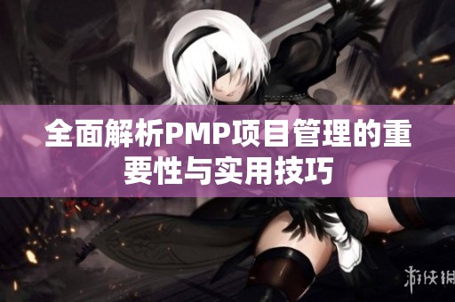 全面解析PMP项目管理的重要性与实用技巧