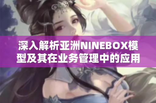 深入解析亚洲NINEBOX模型及其在业务管理中的应用