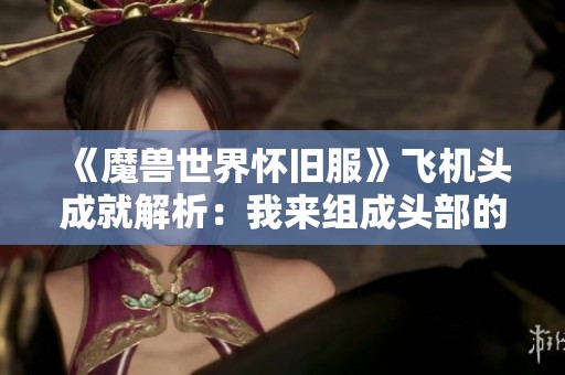 《魔兽世界怀旧服》飞机头成就解析：我来组成头部的趣味梗解析