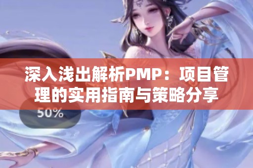 深入浅出解析PMP：项目管理的实用指南与策略分享