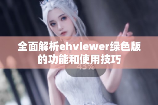 全面解析ehviewer绿色版的功能和使用技巧