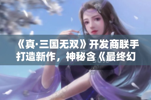 《真·三国无双》开发商联手打造新作，神秘含《最终幻想》元素