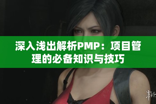 深入浅出解析PMP：项目管理的必备知识与技巧