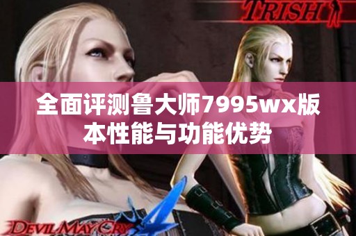 全面评测鲁大师7995wx版本性能与功能优势