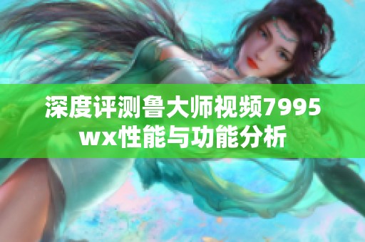 深度评测鲁大师视频7995wx性能与功能分析