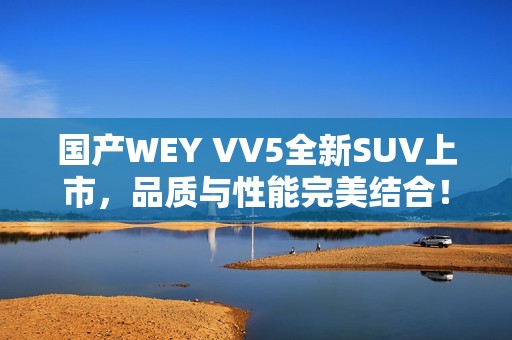 国产WEY VV5全新SUV上市，品质与性能完美结合！