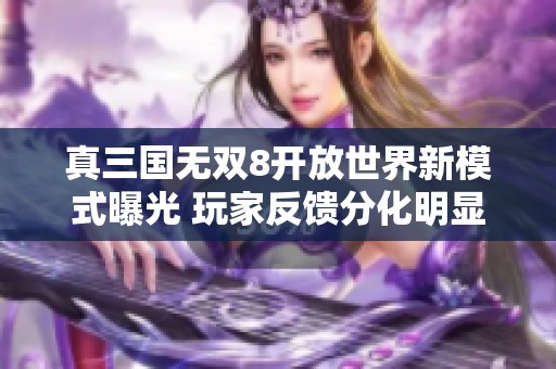 真三国无双8开放世界新模式曝光 玩家反馈分化明显