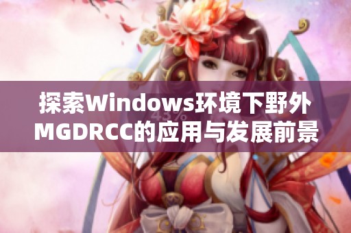 探索Windows环境下野外MGDRCC的应用与发展前景