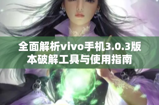 全面解析vivo手机3.0.3版本破解工具与使用指南