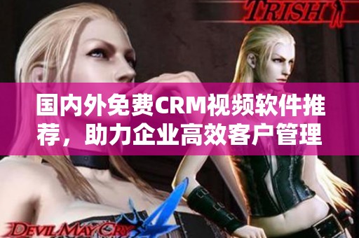 国内外免费CRM视频软件推荐，助力企业高效客户管理