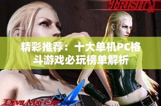 精彩推荐：十大单机PC格斗游戏必玩榜单解析