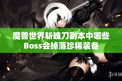 魔兽世界斩魄刀副本中哪些Boss会掉落珍稀装备