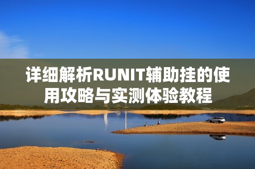 详细解析RUNIT辅助挂的使用攻略与实测体验教程