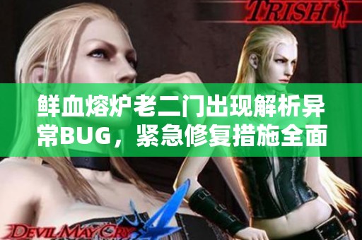 鲜血熔炉老二门出现解析异常BUG，紧急修复措施全面解析