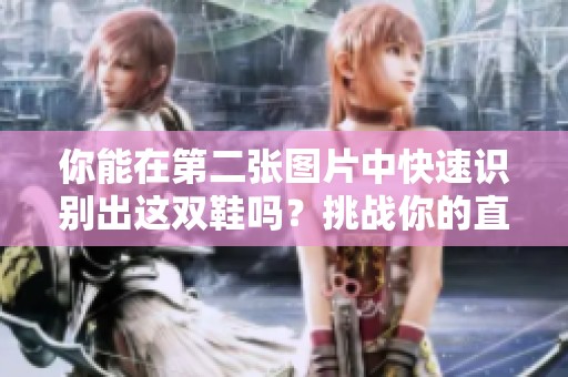 你能在第二张图片中快速识别出这双鞋吗？挑战你的直觉！