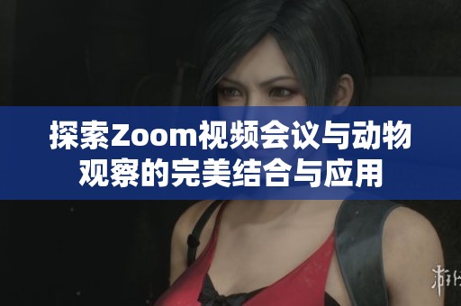 探索Zoom视频会议与动物观察的完美结合与应用