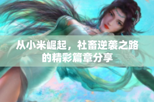 从小米崛起，社畜逆袭之路的精彩篇章分享