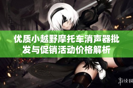 优质小越野摩托车消声器批发与促销活动价格解析