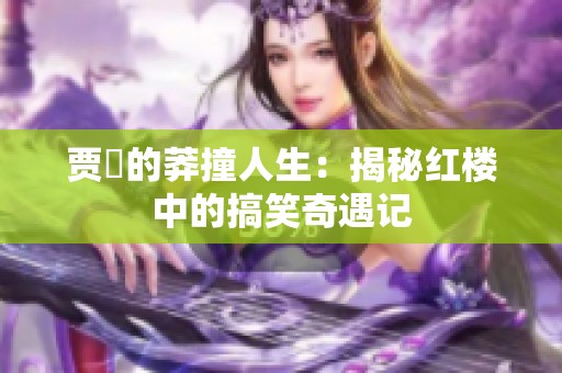 贾珪的莽撞人生：揭秘红楼中的搞笑奇遇记