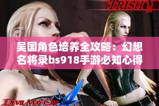 吴国角色培养全攻略：幻想名将录bs918手游必知心得和技巧