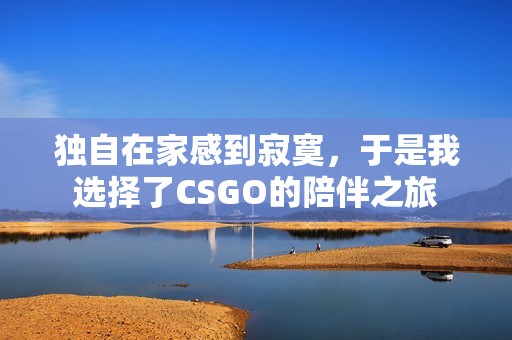 独自在家感到寂寞，于是我选择了CSGO的陪伴之旅