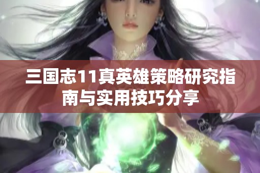 三国志11真英雄策略研究指南与实用技巧分享