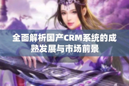 全面解析国产CRM系统的成熟发展与市场前景