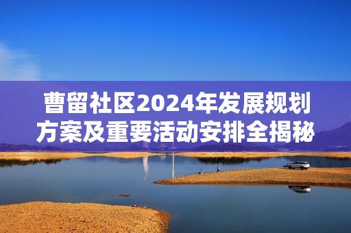 曹留社区2024年发展规划方案及重要活动安排全揭秘