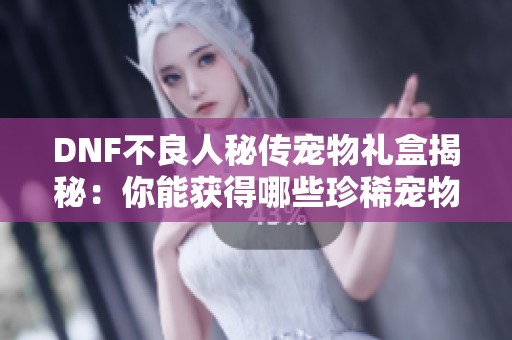 DNF不良人秘传宠物礼盒揭秘：你能获得哪些珍稀宠物奖励