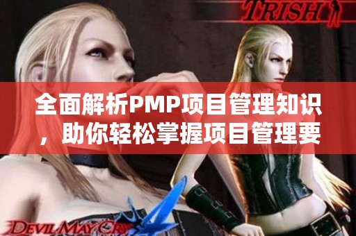 全面解析PMP项目管理知识，助你轻松掌握项目管理要领