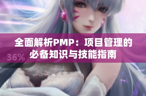 全面解析PMP：项目管理的必备知识与技能指南