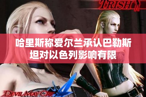 哈里斯称爱尔兰承认巴勒斯坦对以色列影响有限
