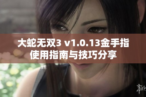 大蛇无双3 v1.0.13金手指使用指南与技巧分享