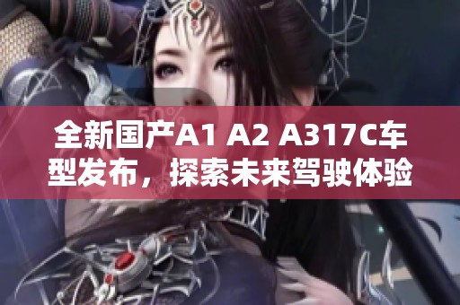 全新国产A1 A2 A317C车型发布，探索未来驾驶体验