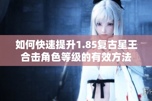 如何快速提升1.85复古星王合击角色等级的有效方法