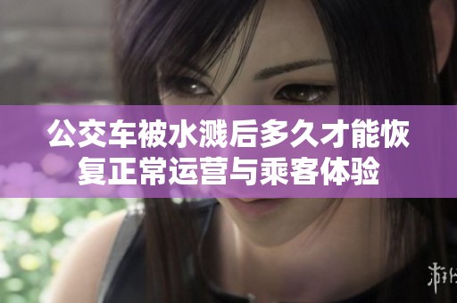 公交车被水溅后多久才能恢复正常运营与乘客体验