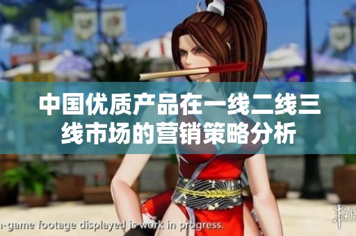 中国优质产品在一线二线三线市场的营销策略分析