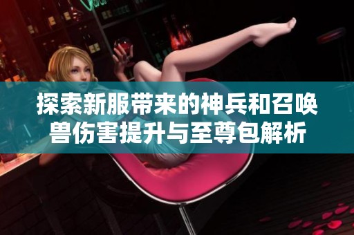 探索新服带来的神兵和召唤兽伤害提升与至尊包解析