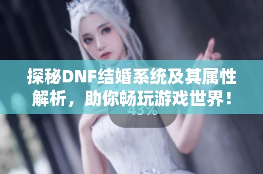 探秘DNF结婚系统及其属性解析，助你畅玩游戏世界！