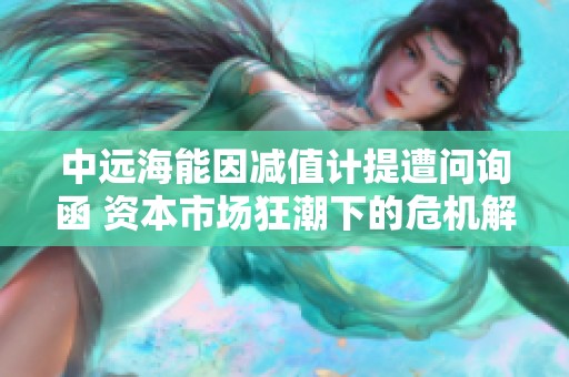 中远海能因减值计提遭问询函 资本市场狂潮下的危机解析