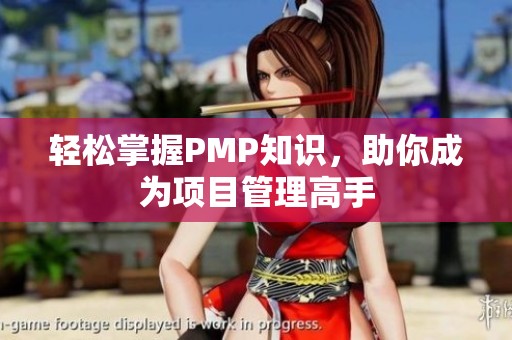 轻松掌握PMP知识，助你成为项目管理高手