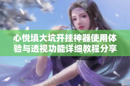 心悦填大坑开挂神器使用体验与透视功能详细教程分享