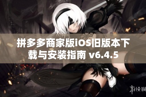 拼多多商家版iOS旧版本下载与安装指南 v6.4.5