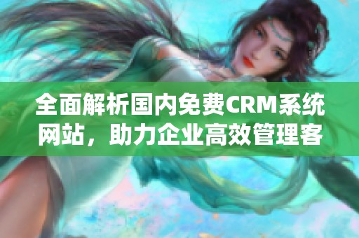 全面解析国内免费CRM系统网站，助力企业高效管理客户关系