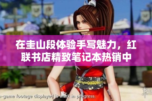 在圭山段体验手写魅力，红联书店精致笔记本热销中