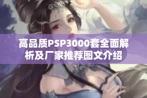 高品质PSP3000套全面解析及厂家推荐图文介绍