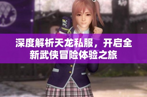 深度解析天龙私服，开启全新武侠冒险体验之旅