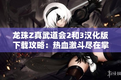 龙珠Z真武道会2和3汉化版下载攻略：热血激斗尽在掌握