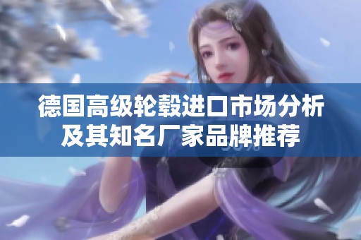 德国高级轮毂进口市场分析及其知名厂家品牌推荐