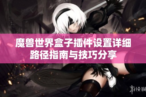 魔兽世界盒子插件设置详细路径指南与技巧分享